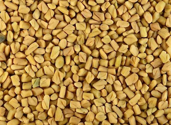 Fenugreek Seeds (Methi Daana)